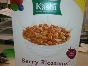 Kashi Cinnamon Harvest Organic Whole Wheat Biscuits (Box)
