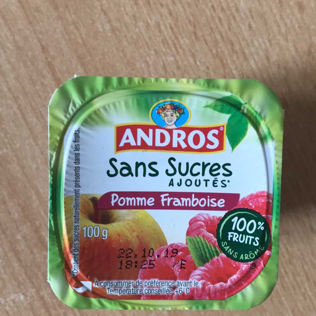 Compote Pomme Sans Sucres Ajoutés (Andros)