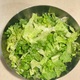 绿叶生菜