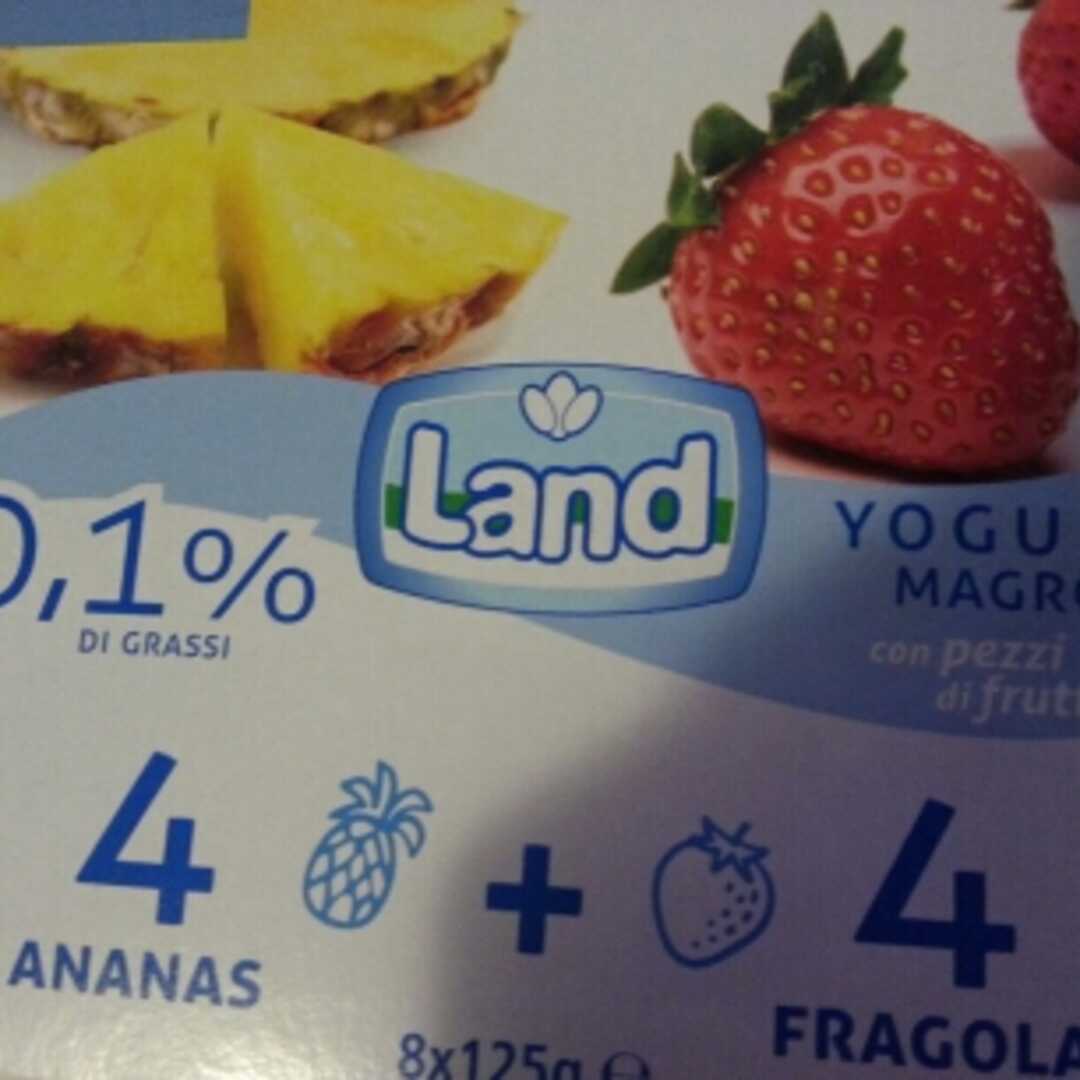 Land Yogurt Magro con Pezzi di Frutta 0,1%