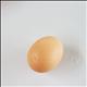 Egg (Whole)