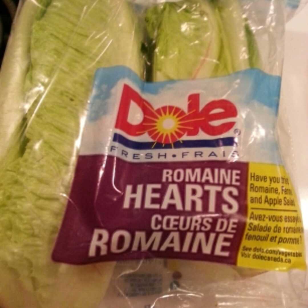 Cos or Romaine Lettuce