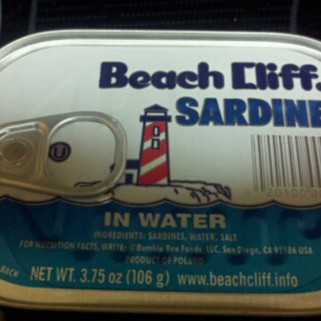 Beach Cliff Sardines in Water
