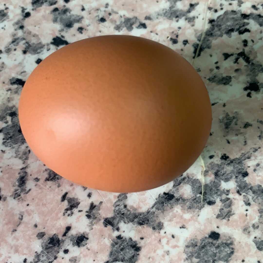 Huevo (Entero)