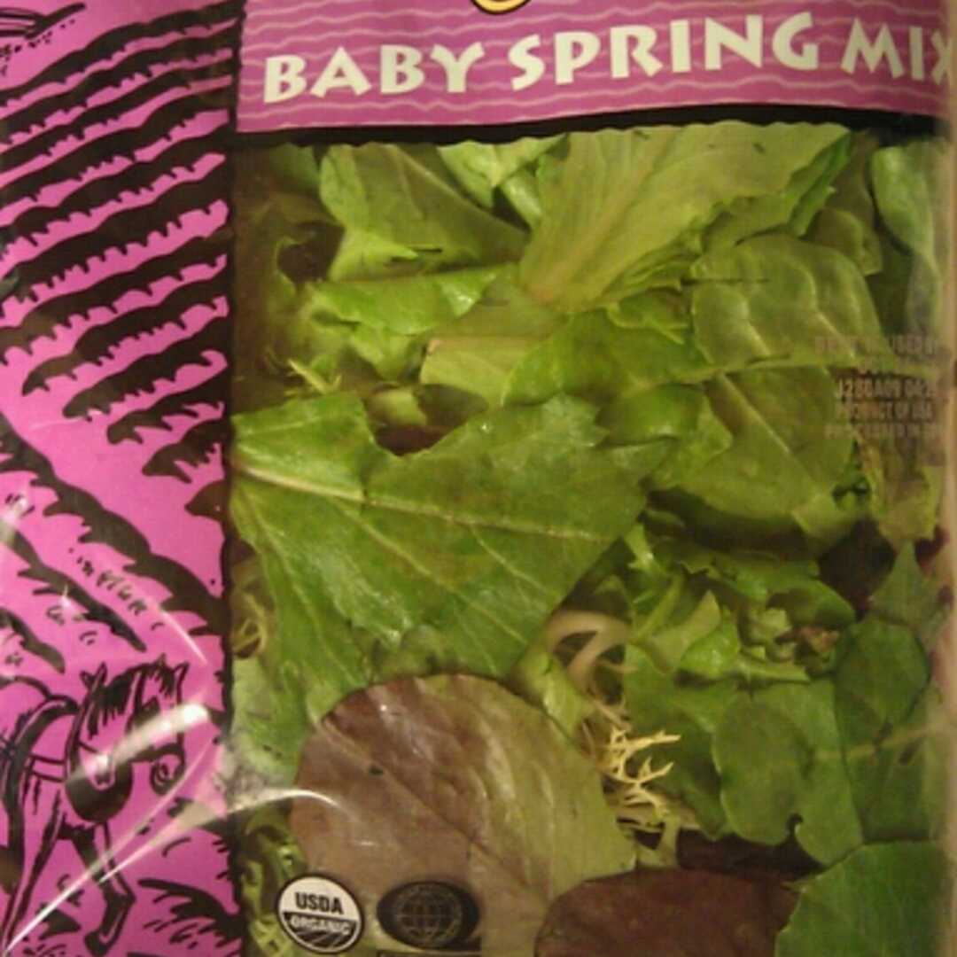 Trader Joe's Organic Baby Spring Mix