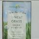 Amazing Grass Wheatgrass Powder
