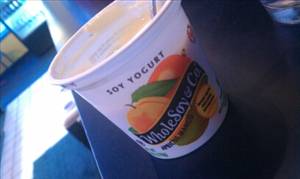 Whole Soy & Co Apricot Mango Soy Yogurt