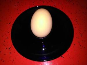 Gekochtes Ei