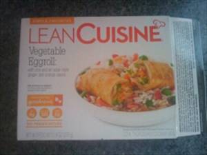Lean Cuisine Vegetable Eggroll with Rice and Asian-style Ginger and Orange Sauce
