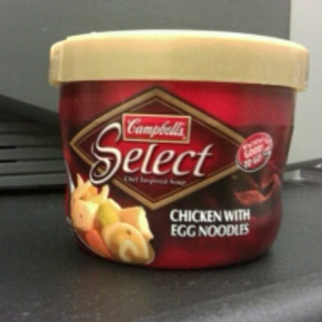 Campbell's Select Chicken with Egg Noodles