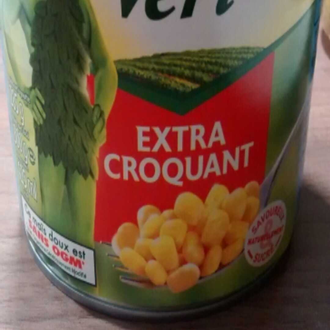 Géant Vert Maïs Extra Croquant