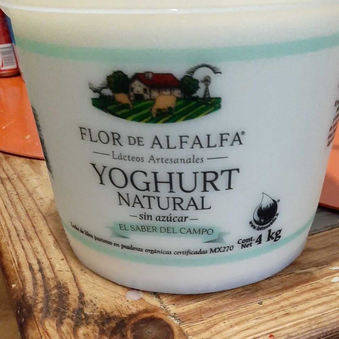 Calorías en Flor de Alfalfa Yogurt Natural sin Azúcar e Información  Nutricional