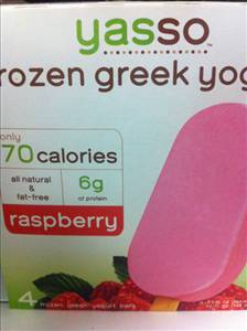 Yasso Frozen Greek Yogurt - Raspberry