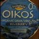 Stonyfield Farm Oikos Organic 0% Fat Greek Yogurt with Blueberry