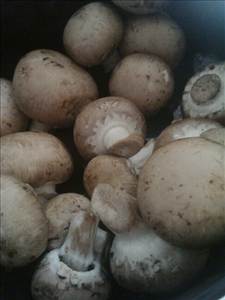 Dole Baby Portobello Mushrooms