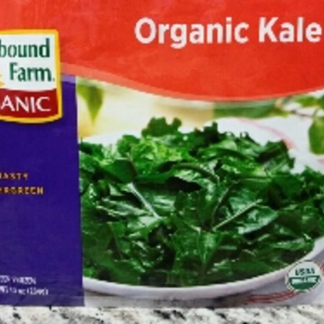 Cooked Kale (from Frozen)