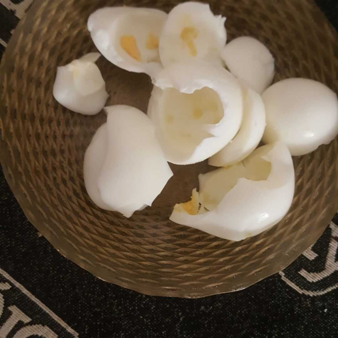 Yumurta Beyazı