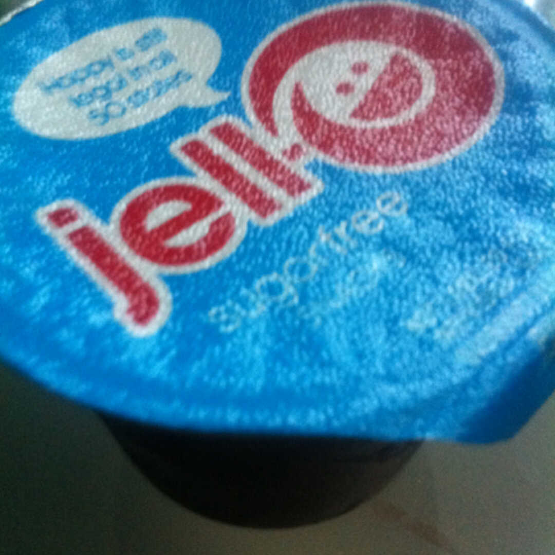 Jell-O Chocolate Pudding Sugar & Fat Free