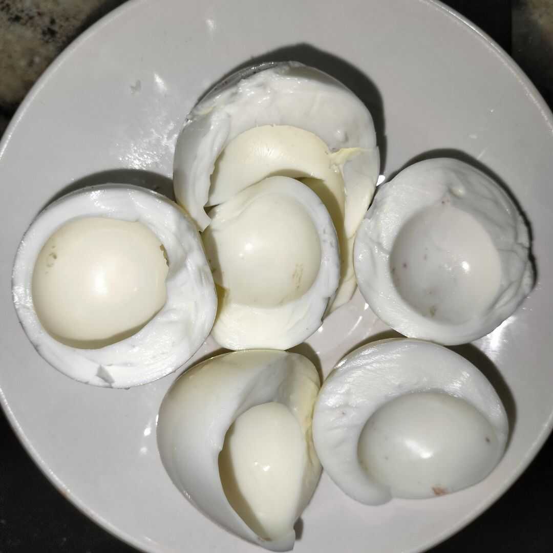 Putih Telur