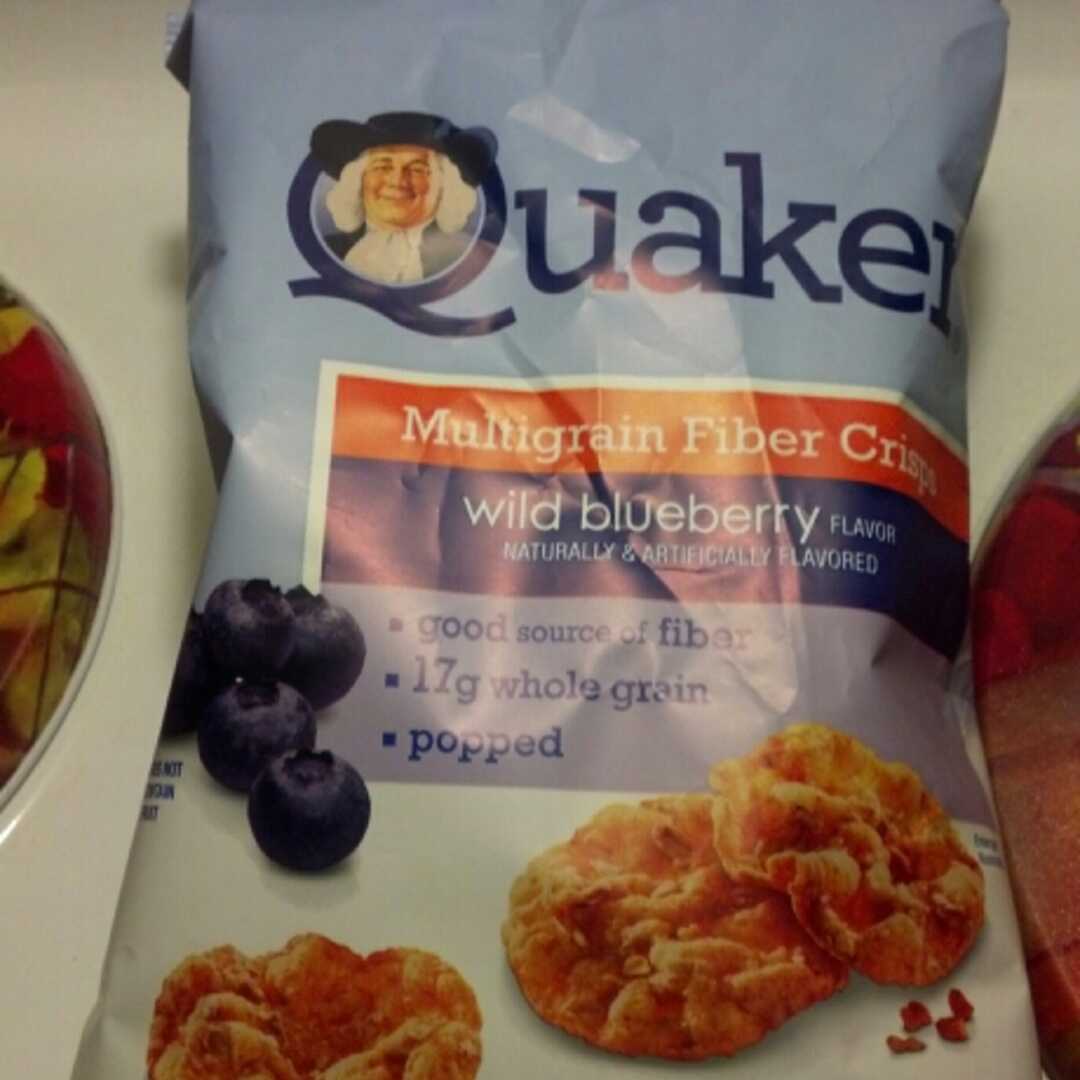Quaker True Delights Multigrain Fiber Crisps - Wild Blueberry