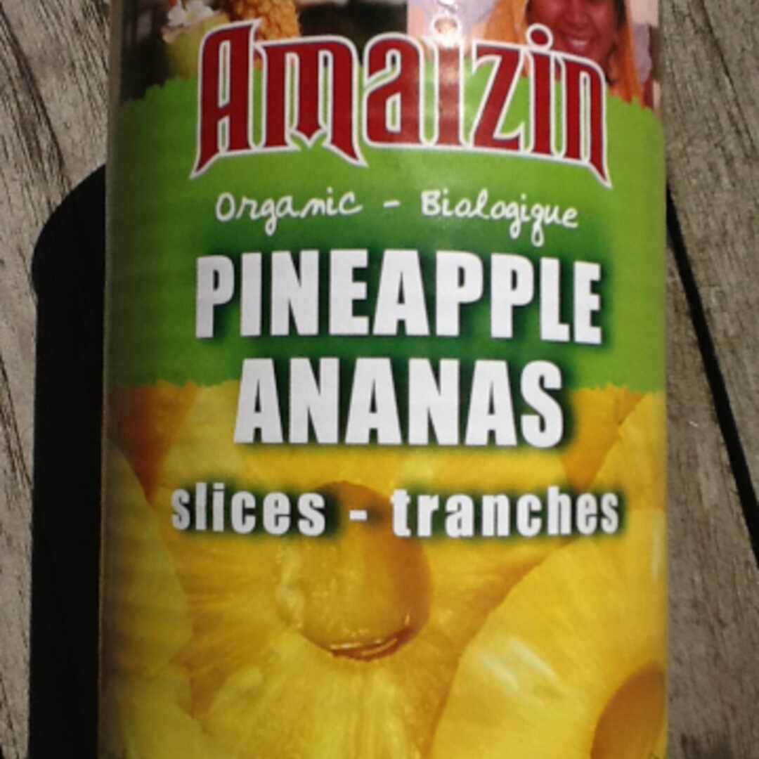 Ananas (in Eigen Sap, uit Blik, Vloeistof en Vaste Stof)
