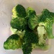 Cooked Broccoli (from Fresh)