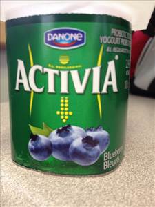 Activia Probiotic Blueberry Yogurt