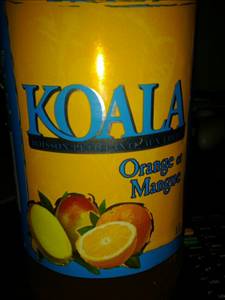 Koala Orange & Mango