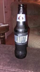 Miller Brewing Company Fortune