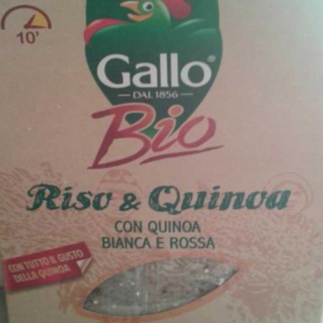 Gallo Riso e Quinoa