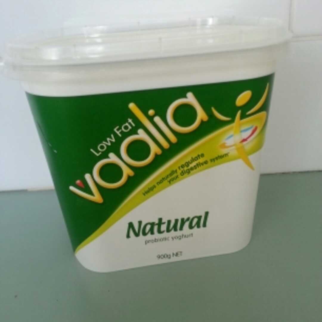 Vaalia Natural Probiotic Yoghurt