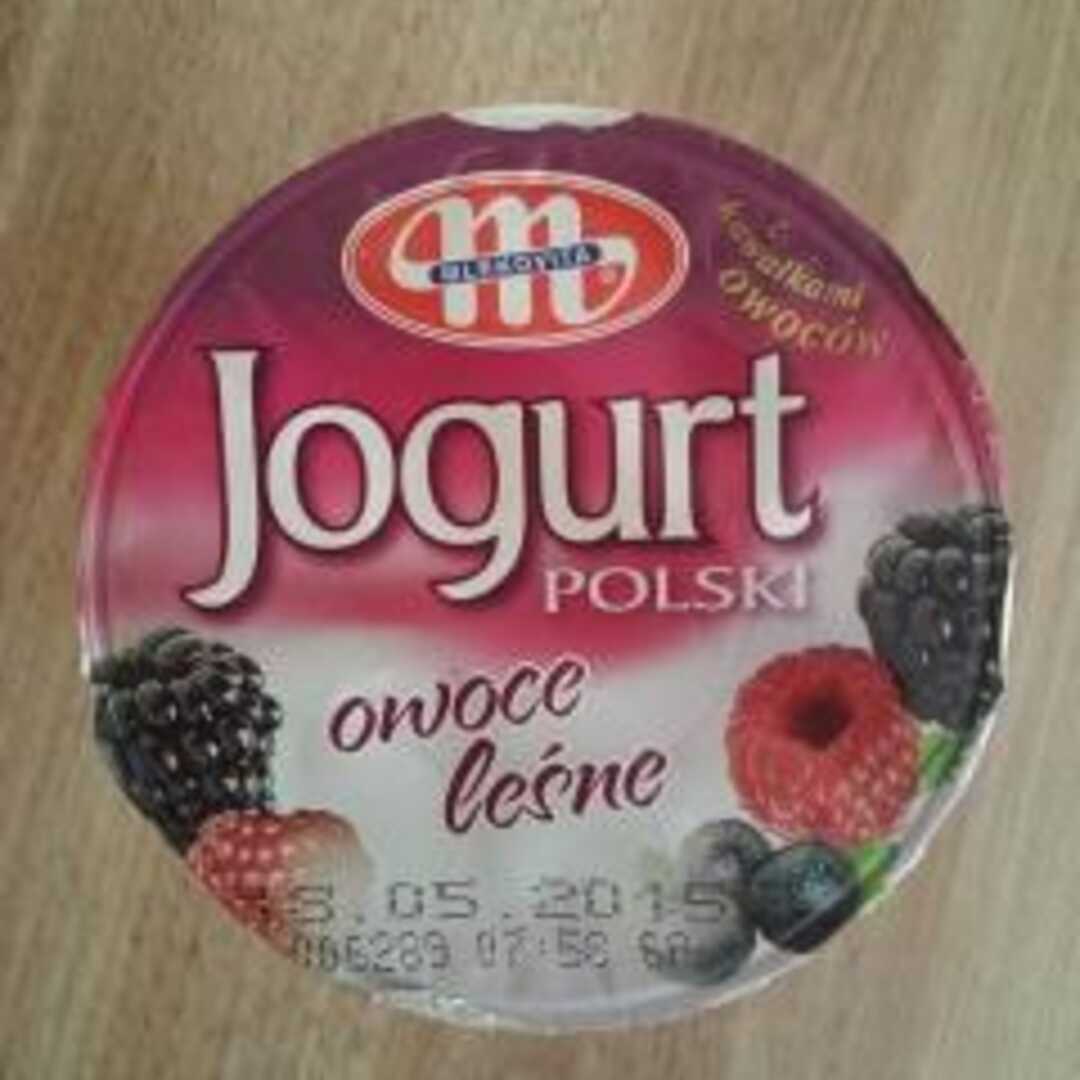 Mlekovita Jogurt Polski Owoce Leśne