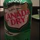 Canada Dry Ginger Ale (12 oz)