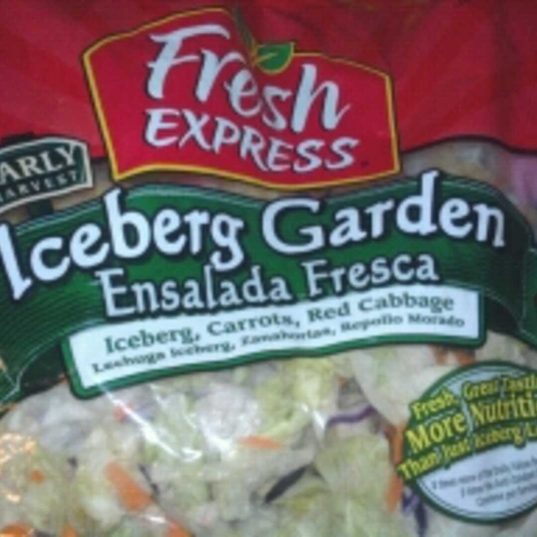 Fresh Express Original Iceberg Garden Salad (Zip)