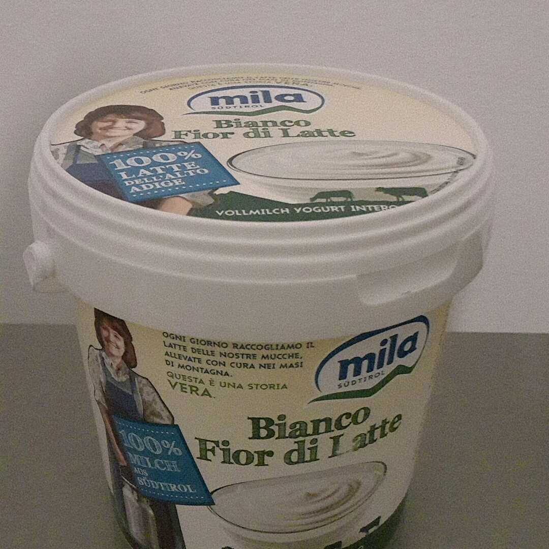 Mila Yogurt Bianco Fior di Latte