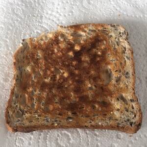 Toasted Multigrain Bread
