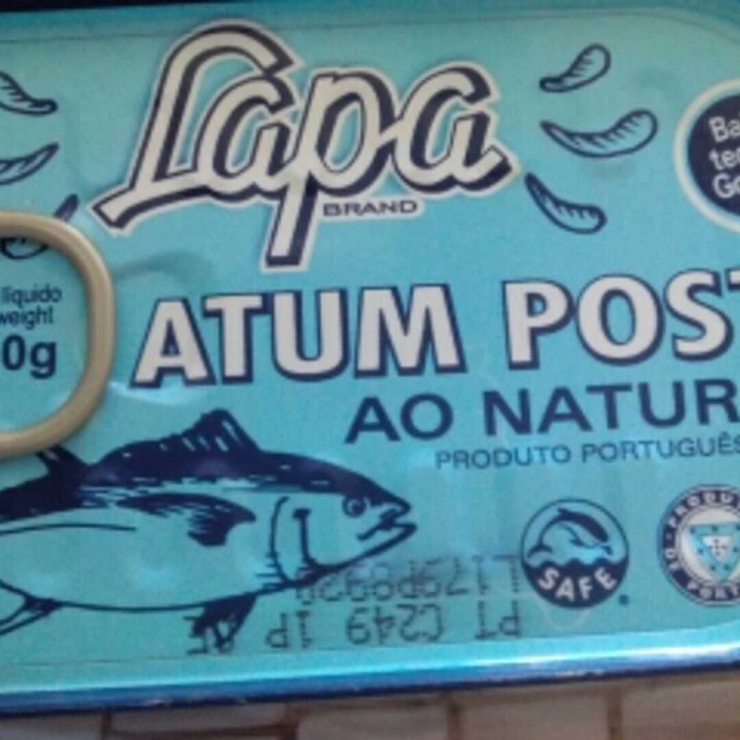 Lapa Atum Posta Ao Natural