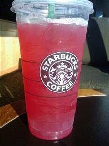 Starbucks Tazo Passion Shaken Iced Tea Lemonade (Venti)