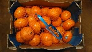 Wonderful Halos Mandarin Oranges