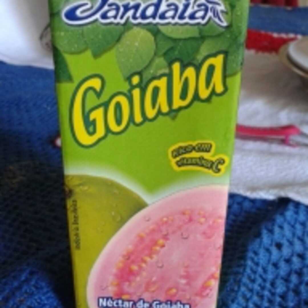 Jandaia Suco de Goiaba