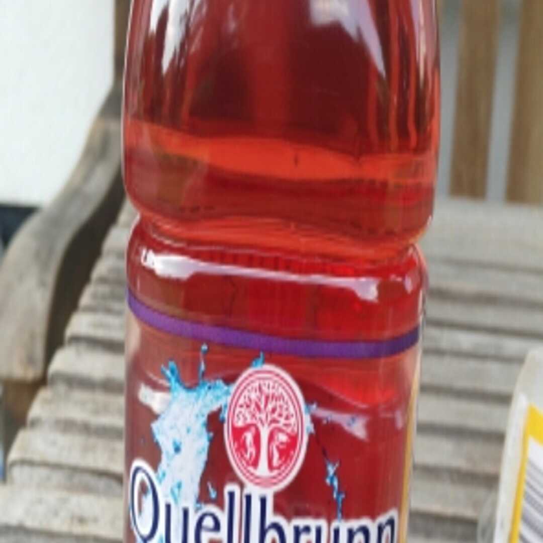 Quellbrunn Beerenmix