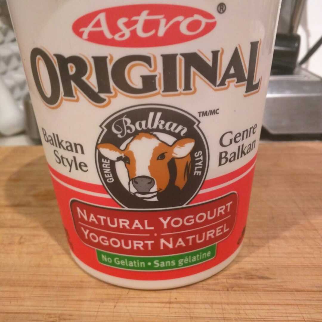 Astro Original Balkan Style Natural Yogurt