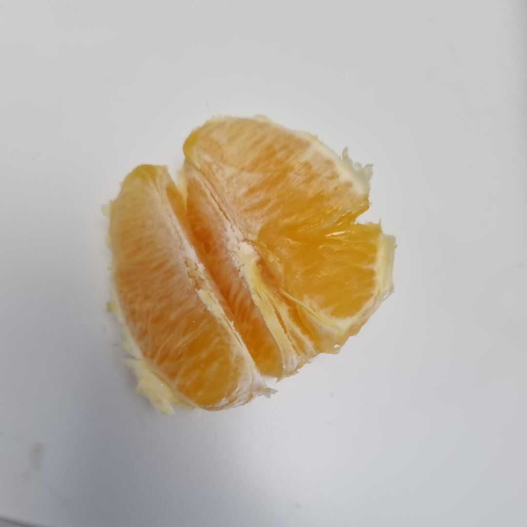 오렌지
