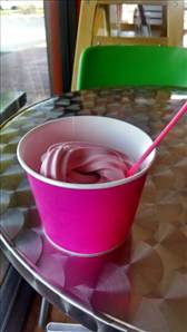 Nonfat Frozen Yogurt (Flavors Other Than Chocolate, Sweetened with Low Calorie Sweetener)