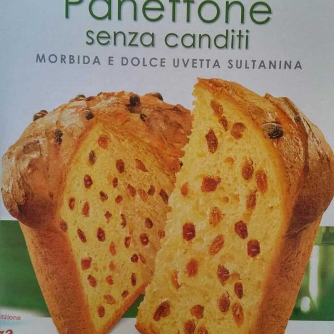 Maina Panettone