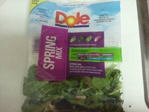Dole Spring Mix Salad