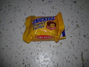 Snickers Peanut Butter Squares (Fun Size)