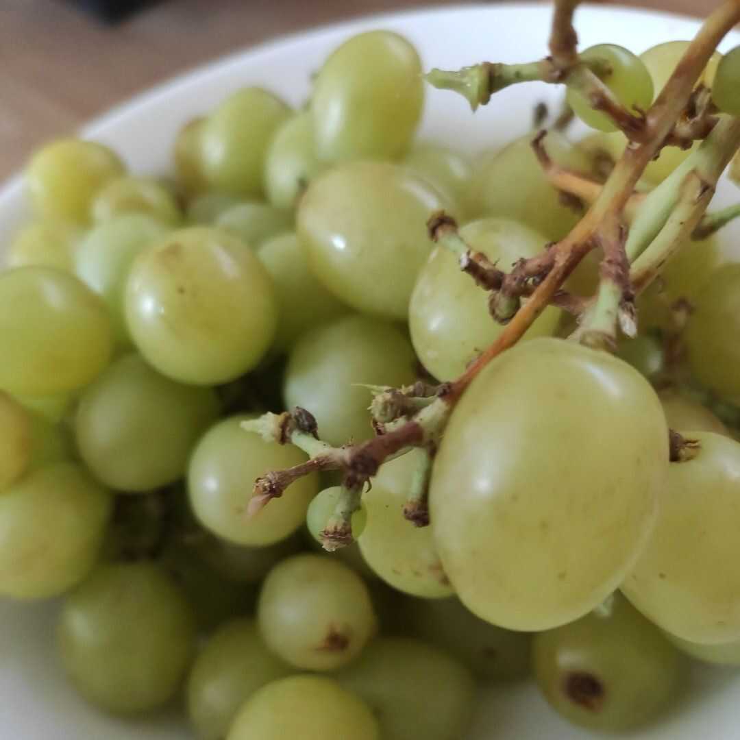 Winogrona (Czerwone lub Zielone, Odmiana Europejska Pozbawione Nasion Podobnie jak Odmiana Thompson)