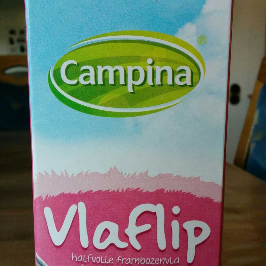 Campina Vlaflip