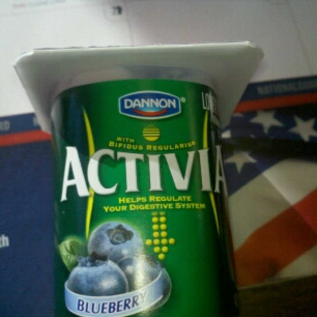Dannon Activia Blueberry Yogurt